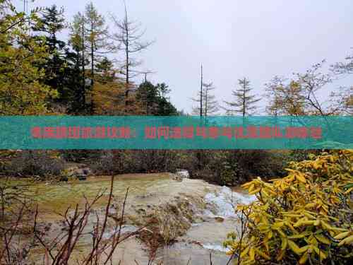 海南跟團旅游全攻略 如何選擇與參與優質團隊游體驗